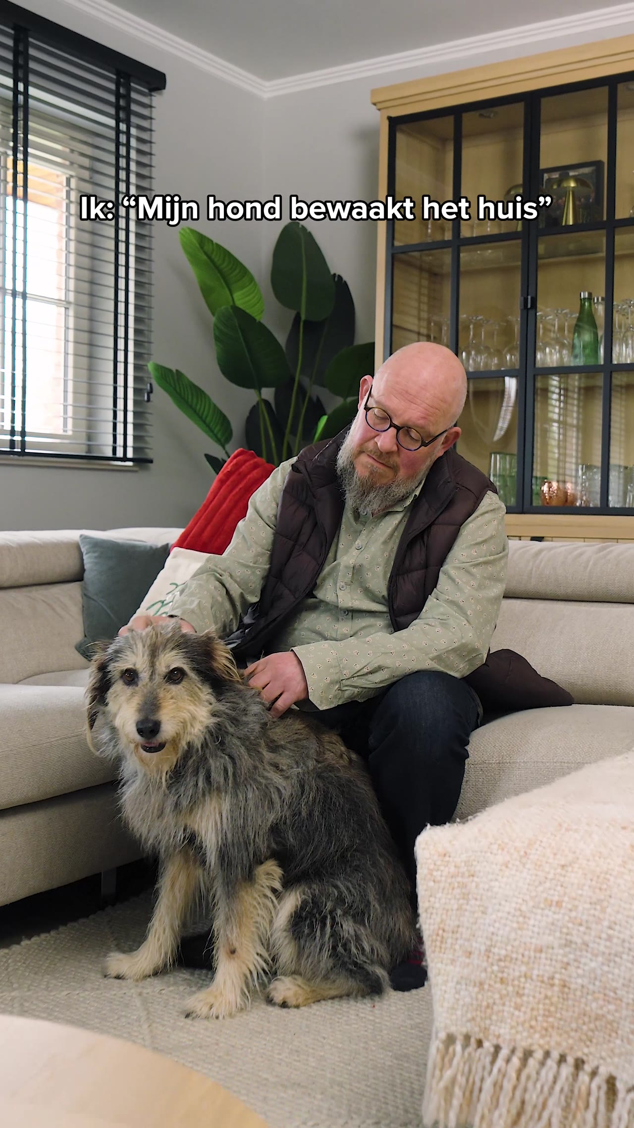 Verisure, social content met man en hond thuis